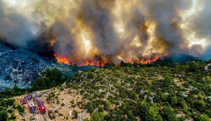 Yangının acı bilançosu: 60 bin hektar kül oldu, en az 1 milyar TL'lik maddi kayıp -9