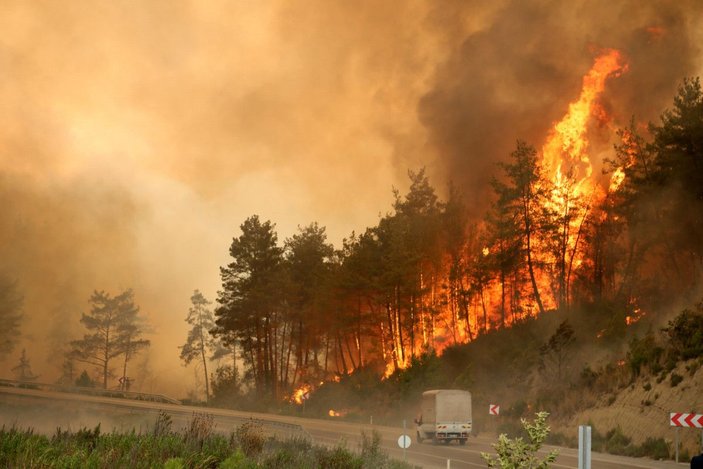 Yangının acı bilançosu: 60 bin hektar kül oldu, en az 1 milyar TL'lik maddi kayıp -7