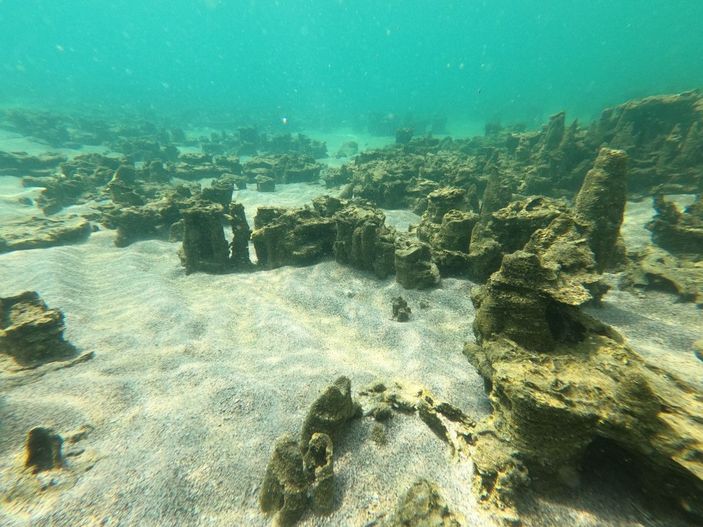 d Van Gölü'nde 30-40 metre uzunluğunda mikrobiyalitler görüntülendi -2