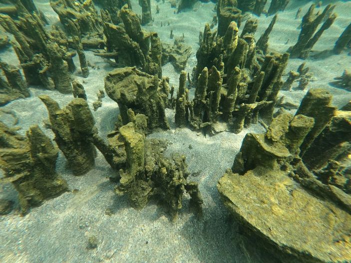 Van Gölü'nde 30-40 metre uzunluğunda mikrobiyalitler görüntülendi -6