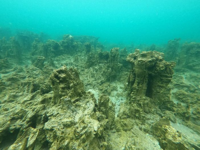 Van Gölü'nde 30-40 metre uzunluğunda mikrobiyalitler görüntülendi -7