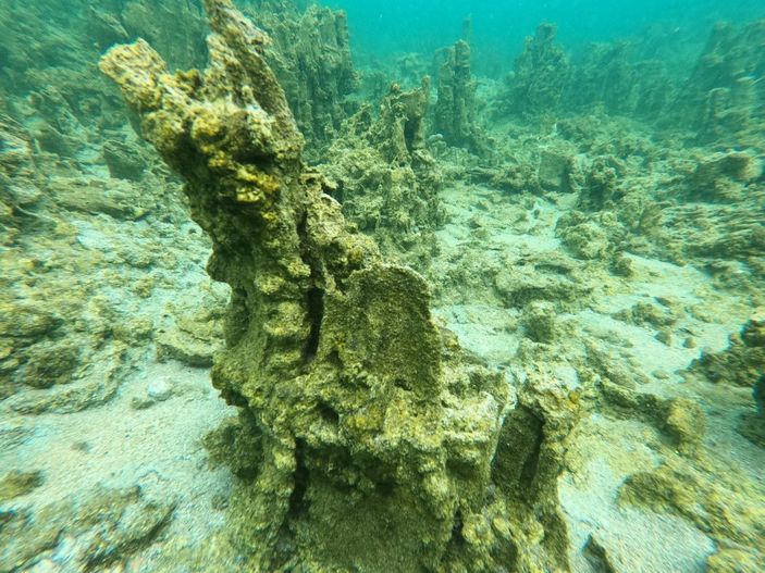 Van Gölü'nde 30-40 metre uzunluğunda mikrobiyalitler görüntülendi -5