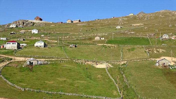 d Yayla evinde jeneratör gazından zehirlendiler: 1 ölü, 11 kişi tedavide -6