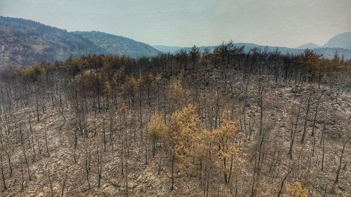 Bodrum ve Milas'ta yanan alanlar dronla havadan görüntülendi -10