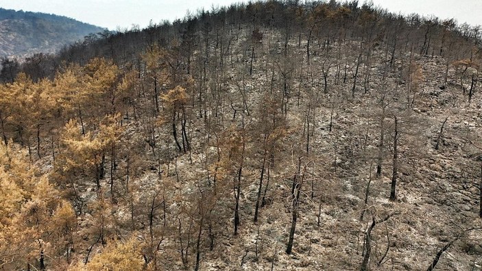 Bodrum ve Milas'ta yanan alanlar dronla havadan görüntülendi -9