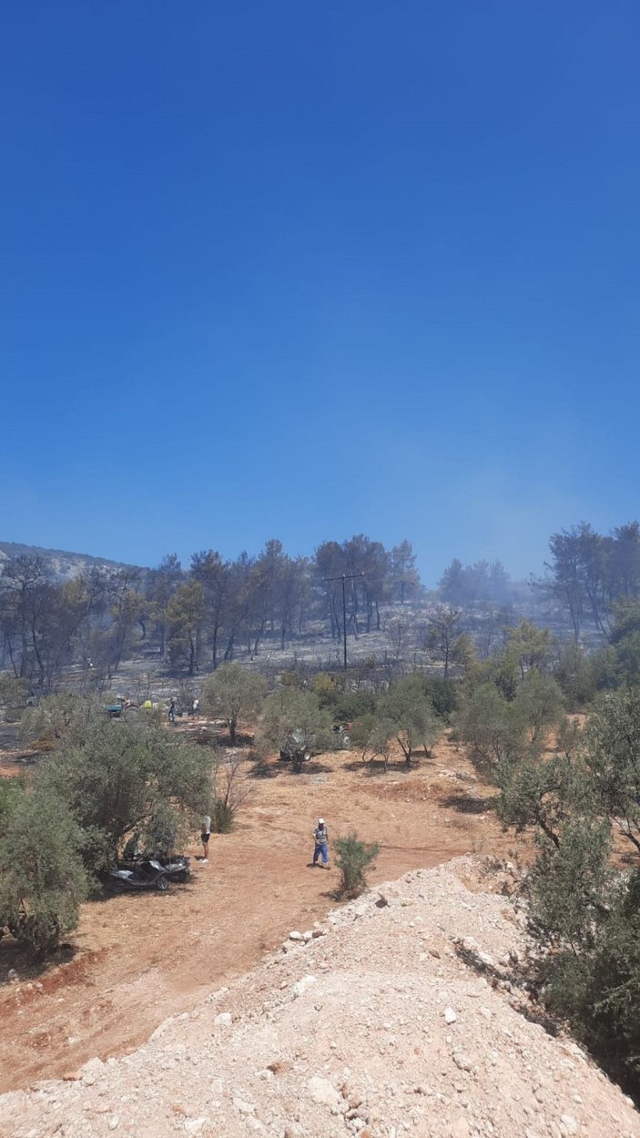 Seydikemer'de 1 hektar ormanlık alan yandı -4