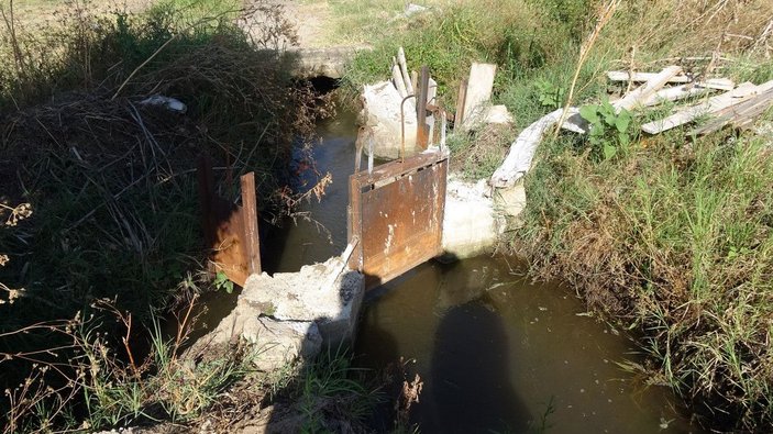 Sulama kanalı hasar gören köyde, kuraklık üreticiyi vurdu -2
