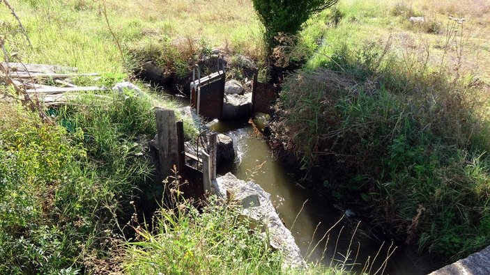 Sulama kanalı hasar gören köyde, kuraklık üreticiyi vurdu -3