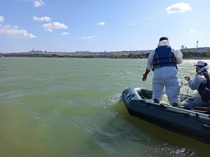 Büyükçekmece'de kaçak avlanan 1 ton balık göle bırakıldı -3