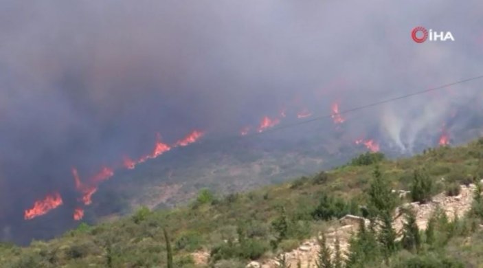 İzmir’deki orman yangını, 14 saat sonra kontrol altına alındı