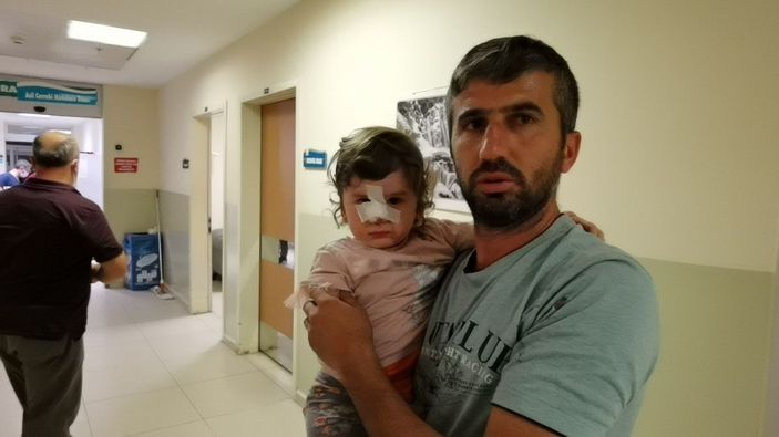 2 yaşındaki Zeliha'ya saldıran köpeğin sahibi aranıyor -2