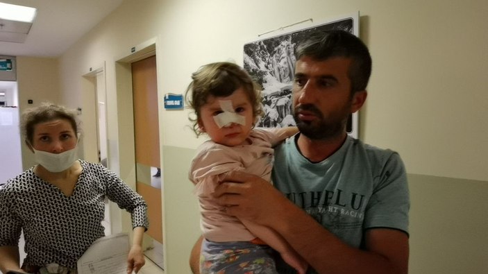 2 yaşındaki Zeliha'ya saldıran köpeğin sahibi aranıyor -3