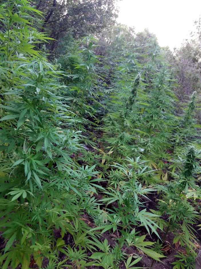 İzmir'de uyuşturucu operasyonu: 20 gözaltı -7