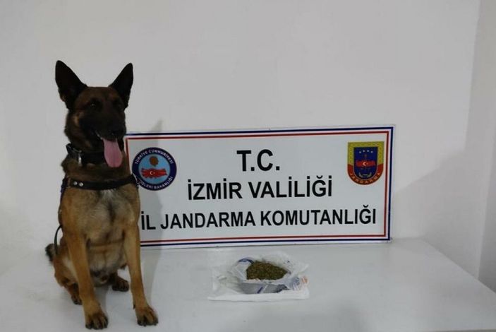 İzmir'de uyuşturucu operasyonu: 20 gözaltı -3
