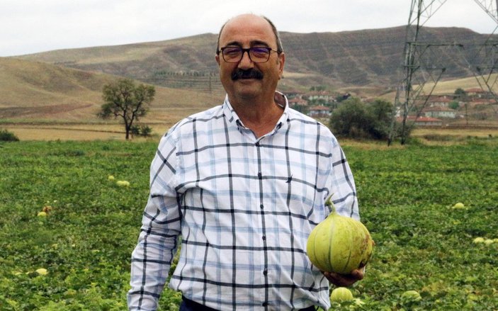 Kızılırmak kavununda düşük rekolte endişesi -1