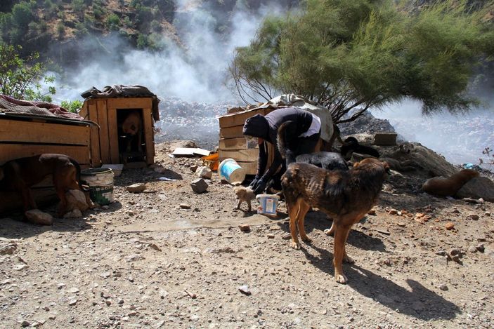 Öğretmen Eda, sokak köpekleri için tayini reddetti -4