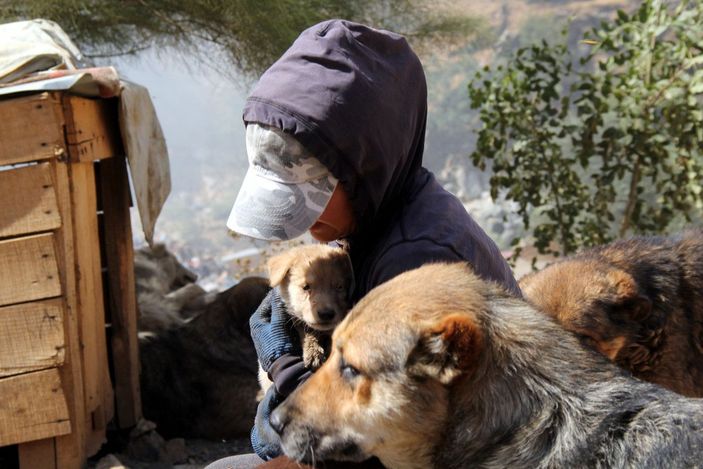 Öğretmen Eda, sokak köpekleri için tayini reddetti -5