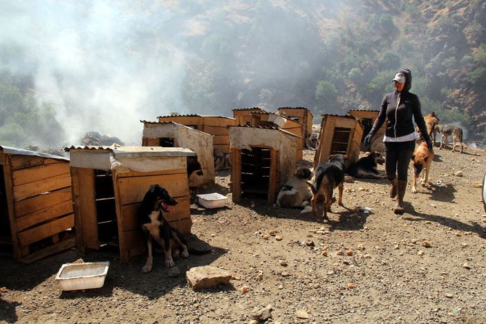 Öğretmen Eda, sokak köpekleri için tayini reddetti -9