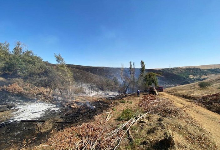 Kaynak makinesinden çıkan kıvılcımlar, 300 hektar tarlayı yaktı -7