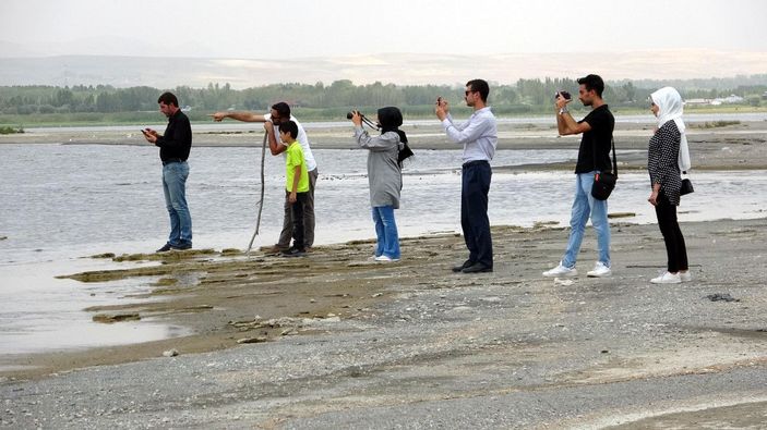 Flamingolar kuraklık nedeniyle yer değiştirdi, fotoğrafçılar yakından görüntüleyebildi -3