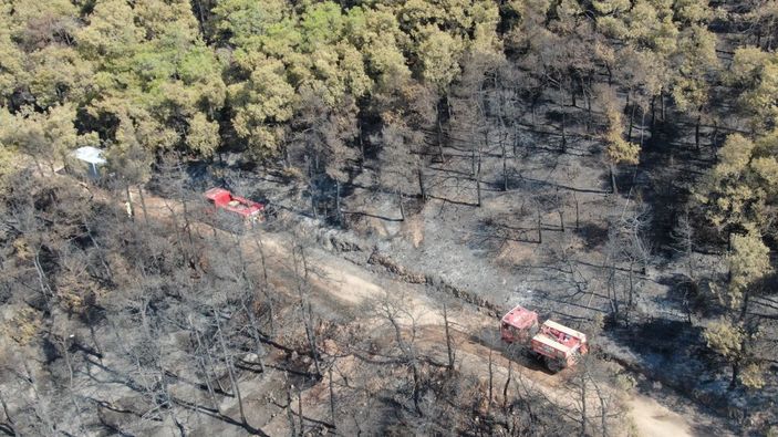 Heybeliada’da soğutma çalışmaları havadan görüntülendi -9