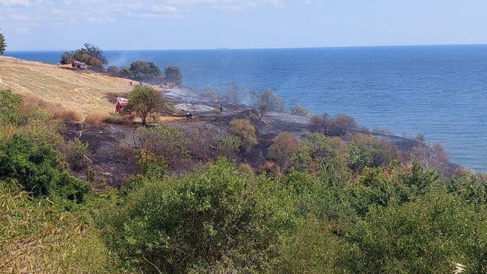 Tekirdağ'da makilik ve ağaçlık alanda yangını -3