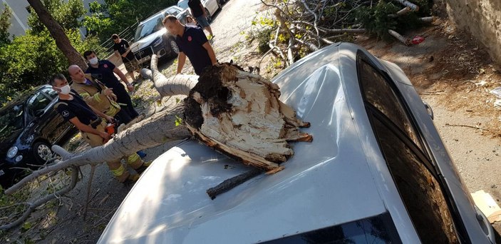 Maltepe'de rüzgarlı havada kırılan ağaç otomobillere zarar verdi -6