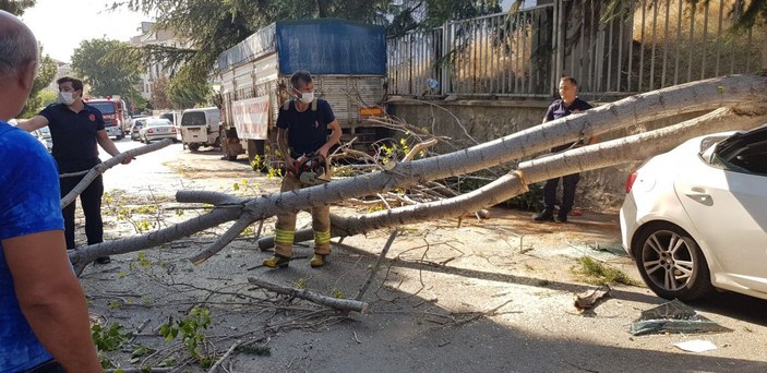 Maltepe'de rüzgarlı havada kırılan ağaç otomobillere zarar verdi -7
