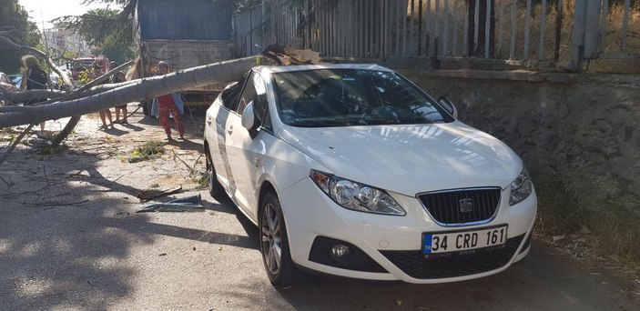 Maltepe'de rüzgarlı havada kırılan ağaç otomobillere zarar verdi -4