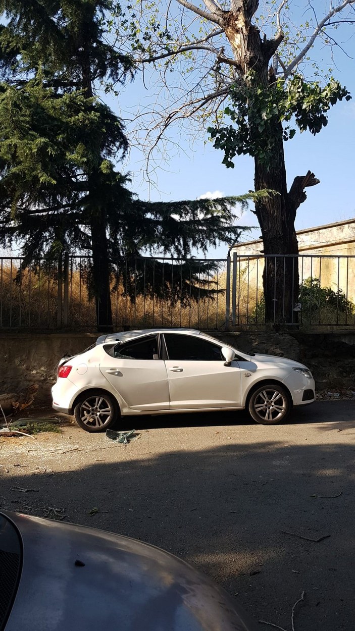 Maltepe'de rüzgarlı havada kırılan ağaç otomobillere zarar verdi -9