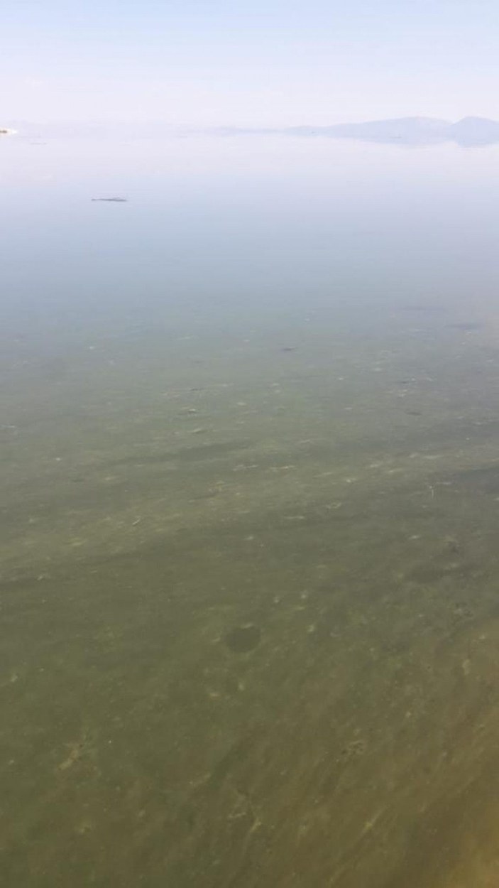 Beyşehir Gölü'nde alg patlaması; suyun rengi yeşile döndü -5