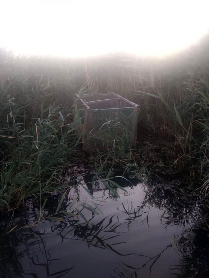 Enez'de yasa dışı avcılıkta kullanılan ördek kafesleri imha edildi -5