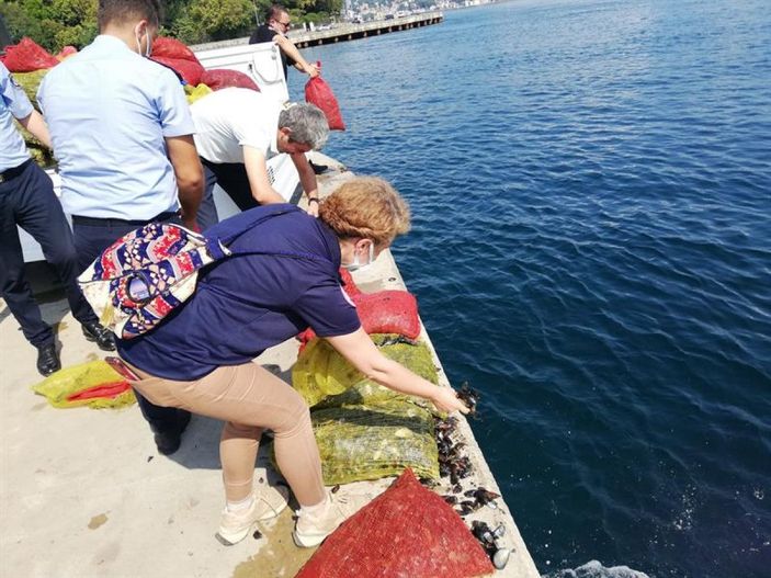 Sarıyer'de kaçak avlanan 1 ton midye ele geçirildi -7