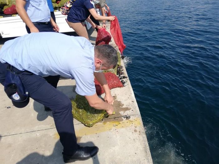 Sarıyer'de kaçak avlanan 1 ton midye ele geçirildi -8