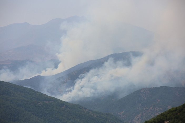 Tunceli’de, aynı bölgede yine örtü yangını çıktı -3