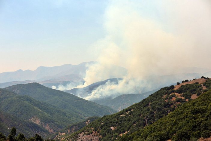 Tunceli’de, aynı bölgede yine örtü yangını çıktı -1