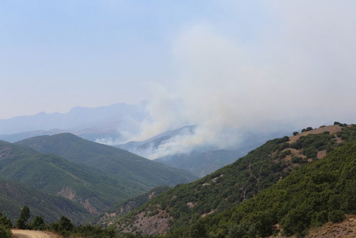 Tunceli’de, aynı bölgede yine örtü yangını çıktı -4