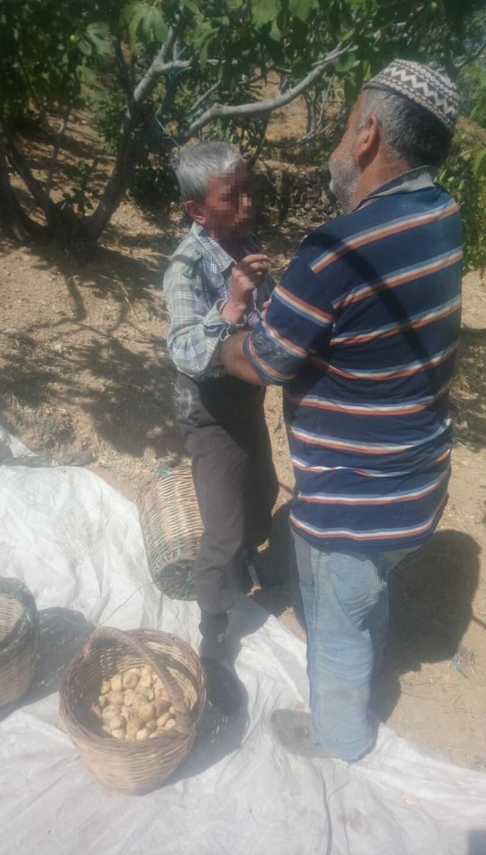 d İncirlerini çalarken yakaladığı şüpheliyi, kolundan tutup jandarmaya teslim etti -3