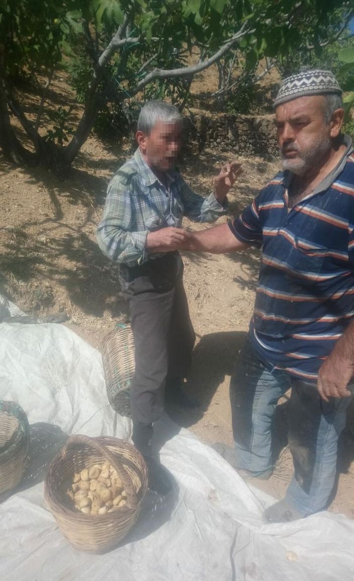 İncirlerini çalarken yakaladığı şüpheliyi, kolundan tutup jandarmaya teslim etti -2