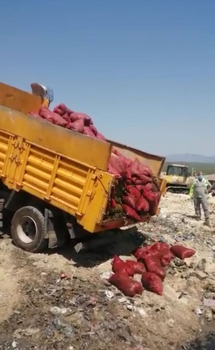 Antalya’da 4 ton kaçak midye ele geçirildi -2