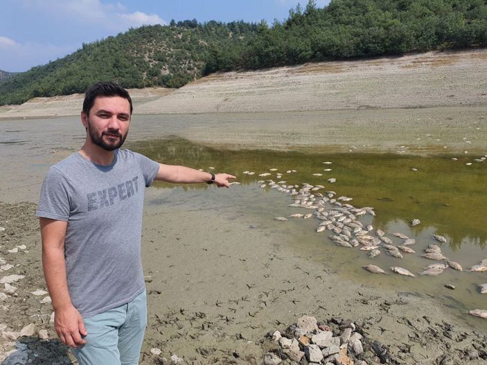 Göletteki su çekildi, balıklar öldü -6