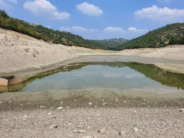 Göletteki su çekildi, balıklar öldü -7