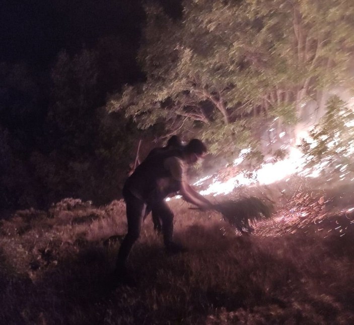 Bingöl'deki orman yangınları kontrol altına alındı -4