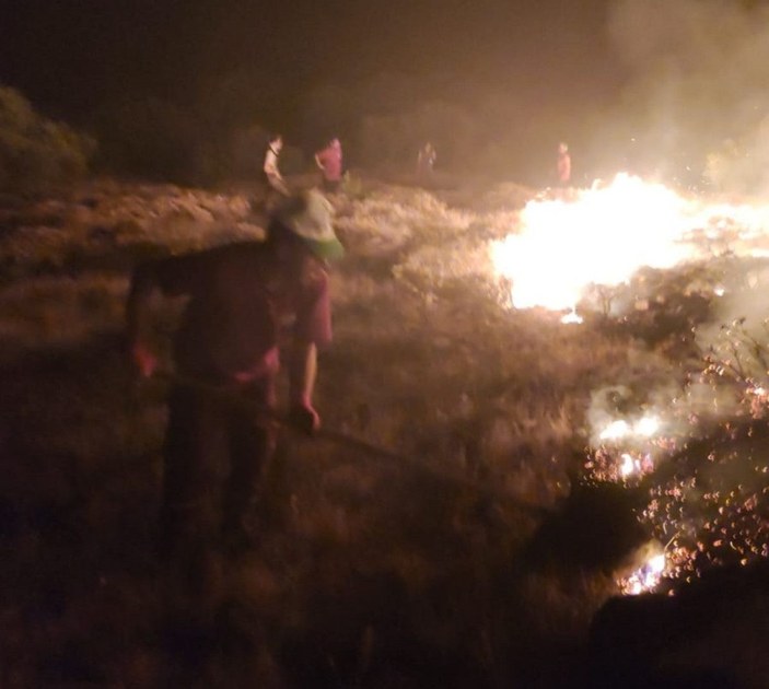 Bingöl'deki orman yangınları kontrol altına alındı -1