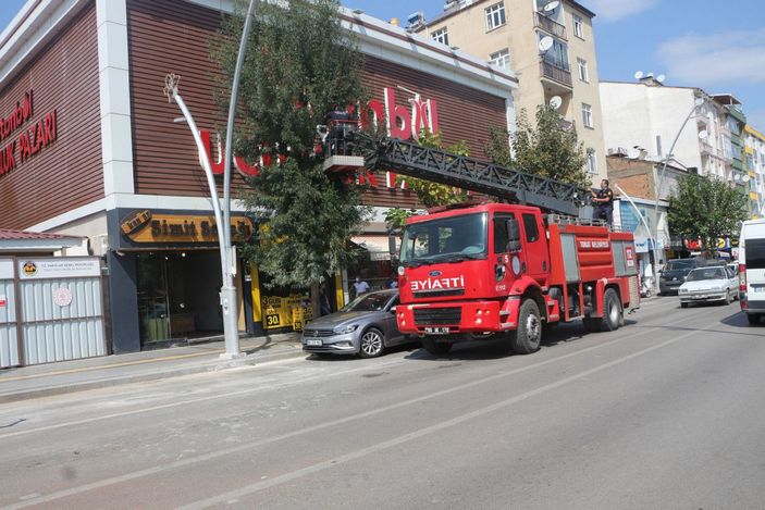 d Kedinin düşürdüğü yavru kargayı, yuvasına itfaiye koydu -5