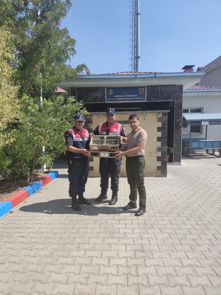 33 saka avına 43 bin lira ceza -3