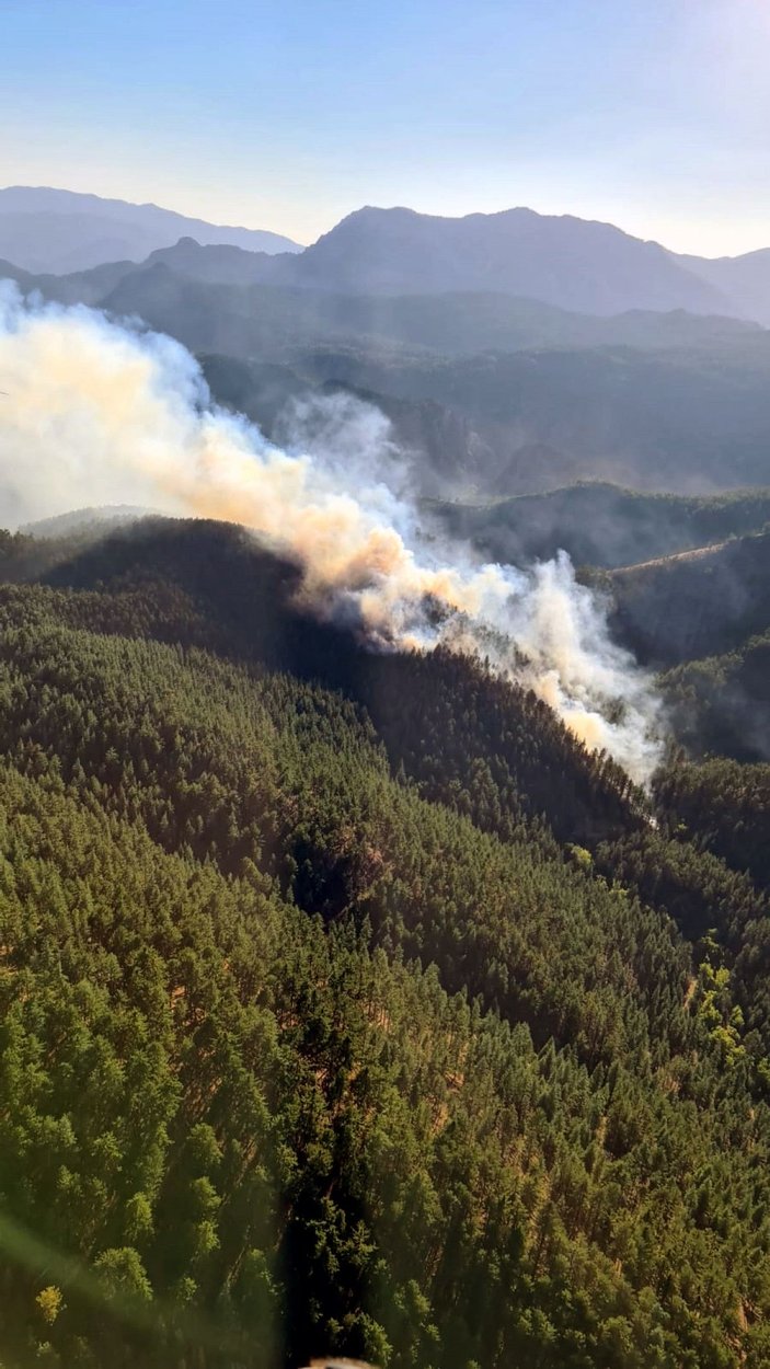 Adana'da orman yangını -2