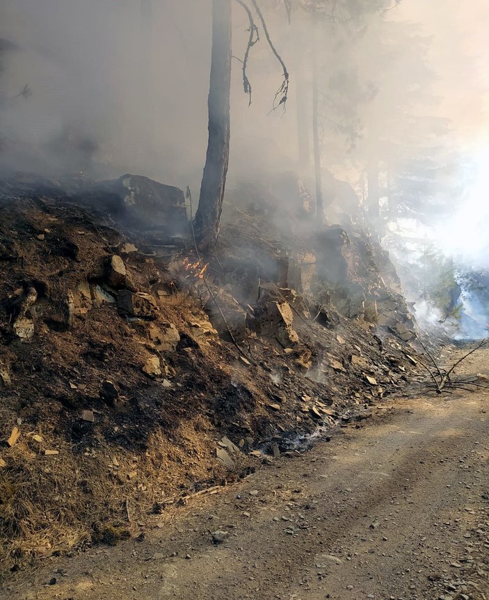 Adana'da orman yangını -6