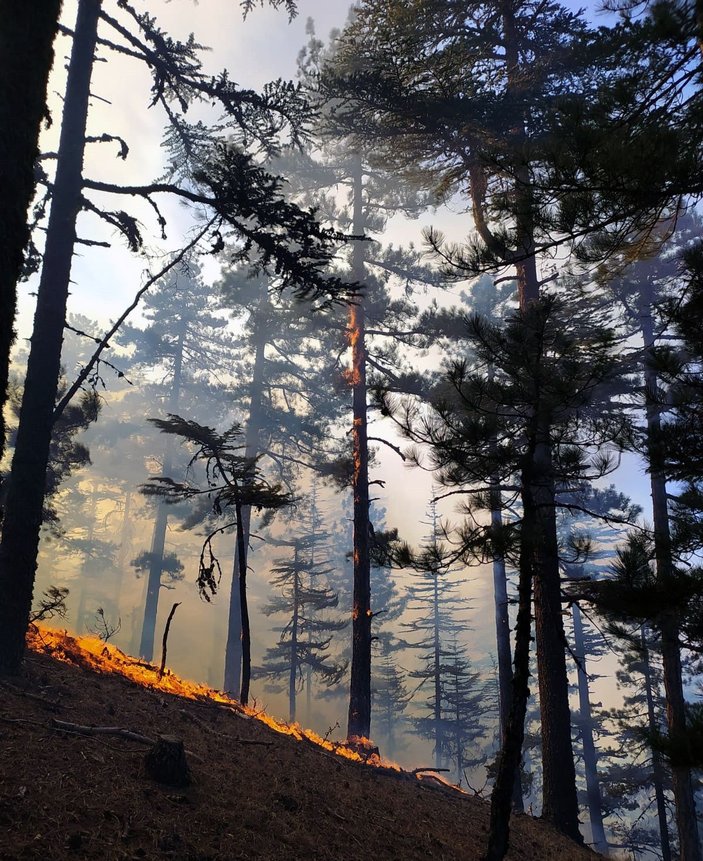 Adana'da orman yangını -5