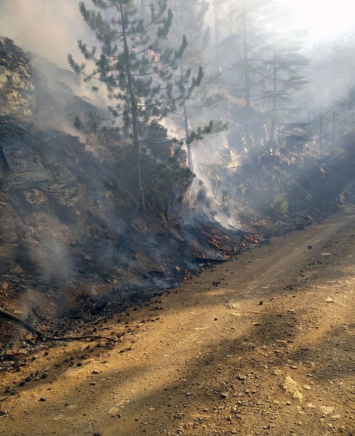 Adana'da orman yangını -8